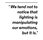 LucyCopy1
