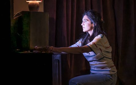 Leila Farzad kneels in front of a television. The room is dark and she is lit only by the white light from the television.
