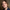 Eliza Jean Scott Eliza Jean Scott