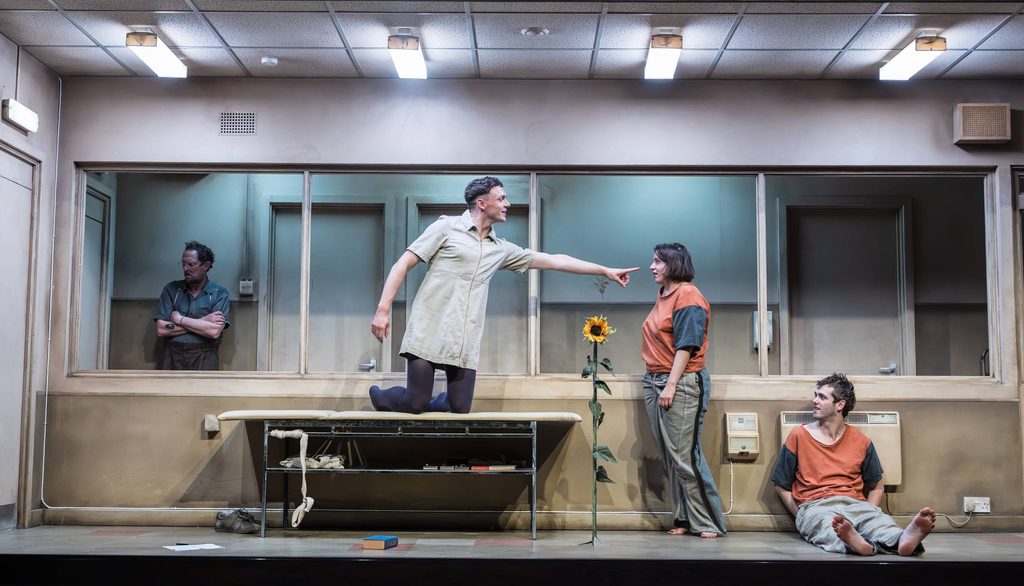 Almeida For Free: Cleansed