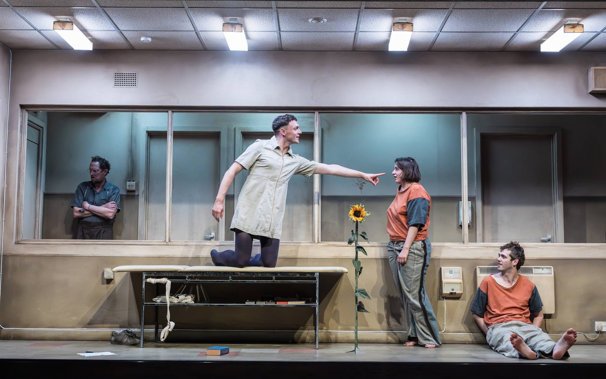 Almeida For Free: Cleansed